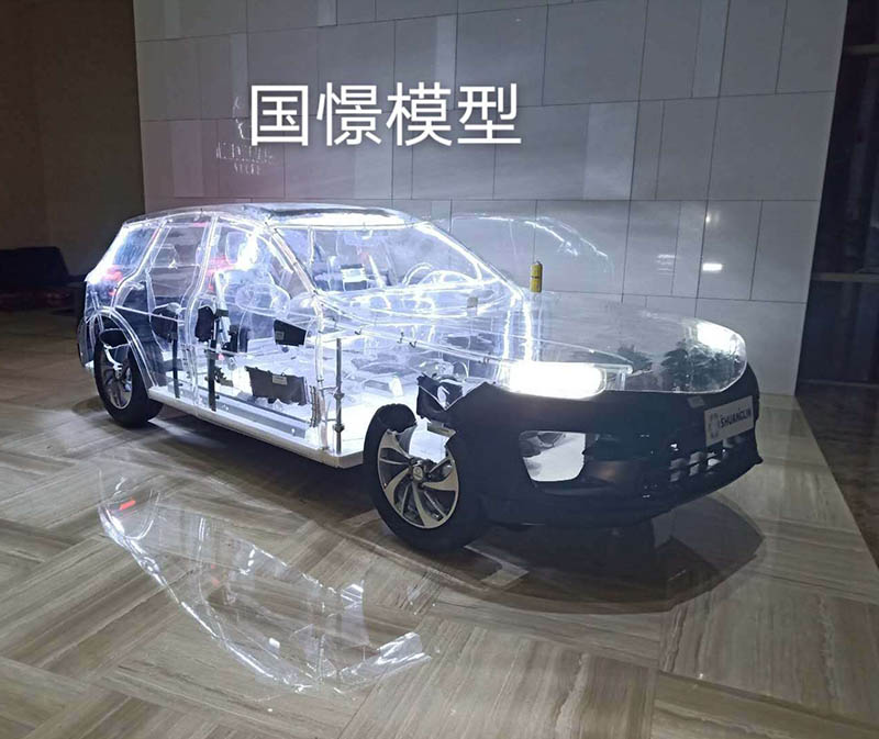 乐东透明车模型