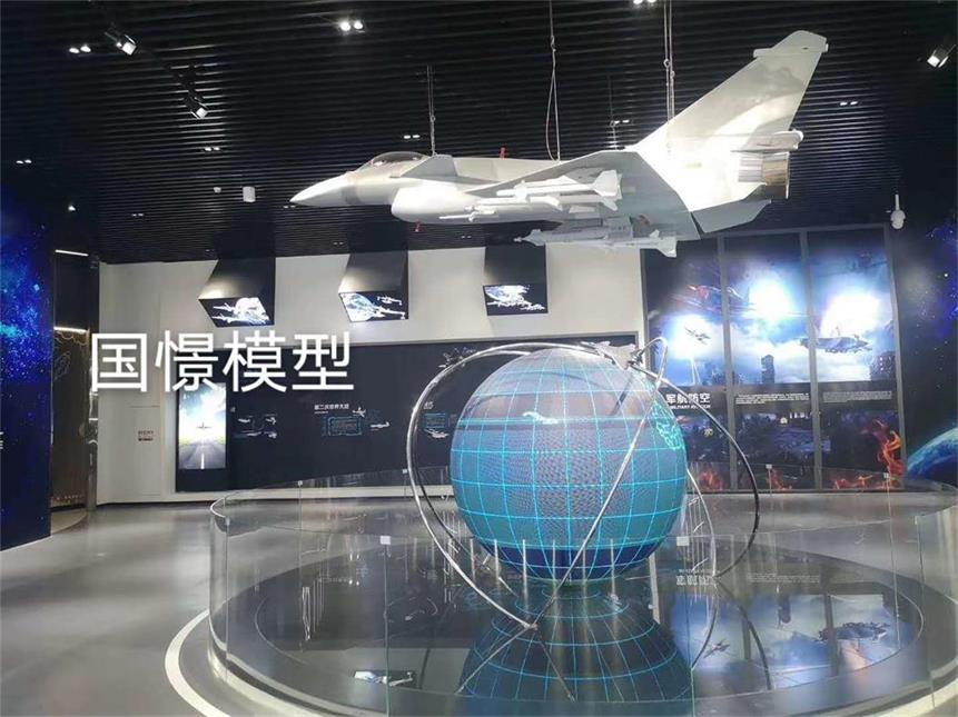 乐东飞机模型